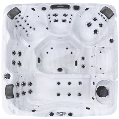 Avalon EC-867L hot tubs for sale in Salem